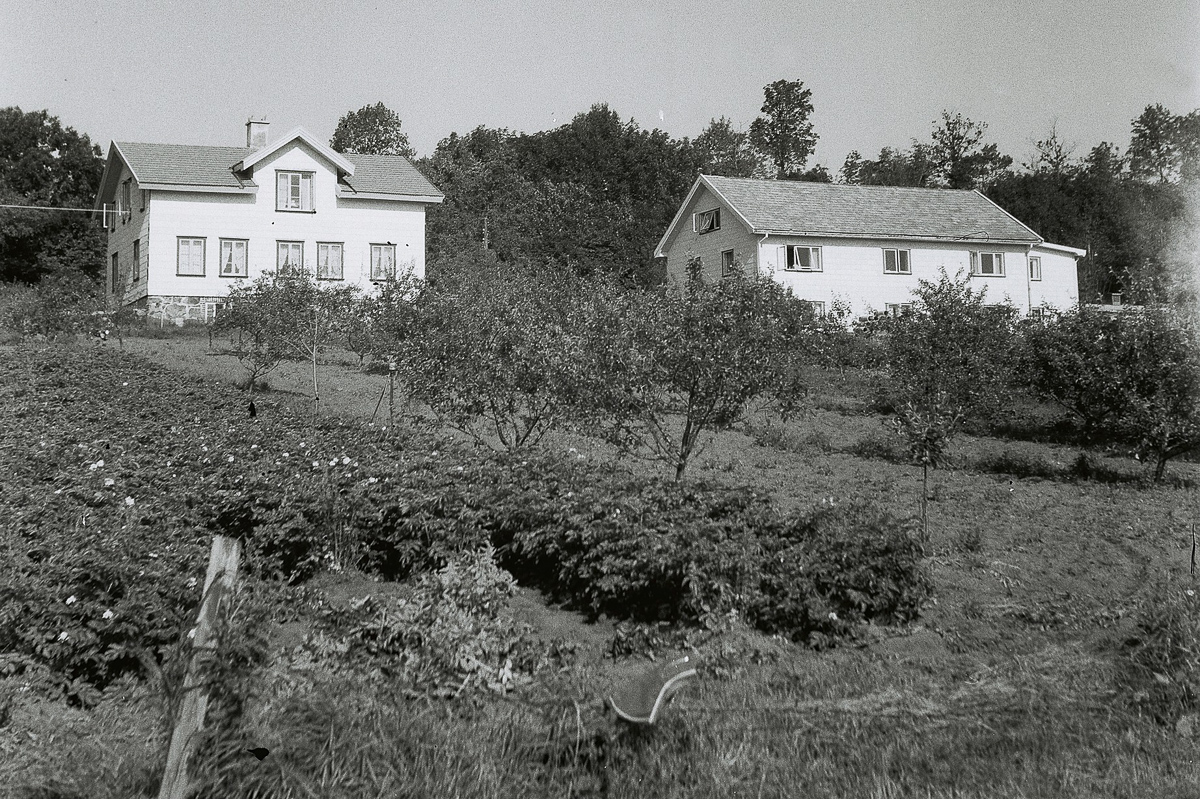 Nedre Brunstad gård ble kjøpt i 1956