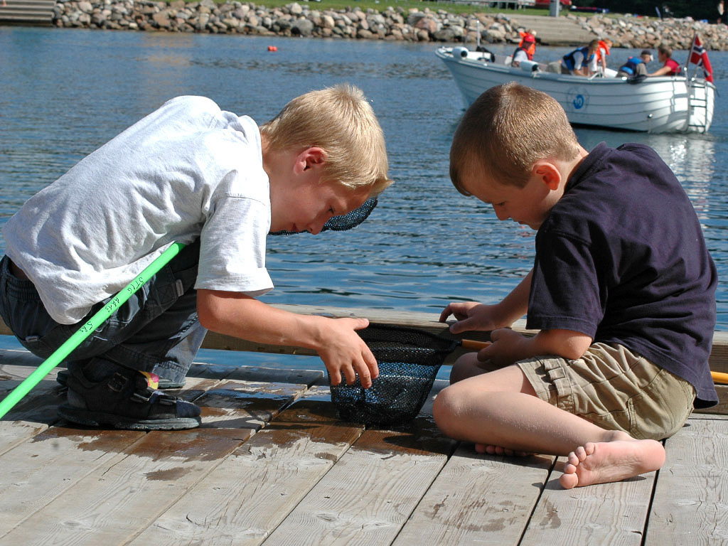 Mange av barna ser fram til krabbefiske og strandliv.