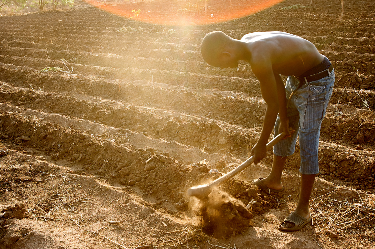 Bildet av den hardtarbeidende afrikanske bonden er ikke alltid representativt for den gjennomsnittlige arbeidsmoralen.